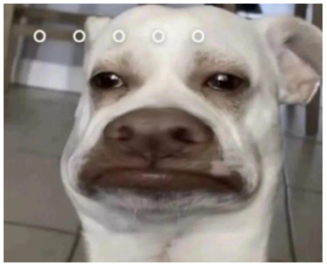 397-08.png